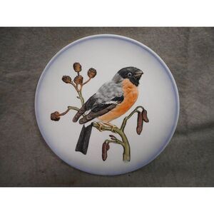 VINTAGE GOEBEL 7 1/2 " HAND‎ PAINTED WILDLIFE PLATE NO. 4 BULLFINCH TMK 5 N/R